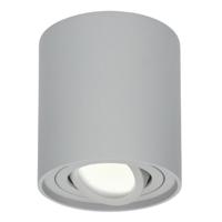 Ronde LED Opbouwspot Ray - 4 Watt 345 Lumen - 4000K neutraal wit - Kantelbaar - GU10 - Opbouwspot - IP20 Voor binnen - Grijs - Dimbaar - thumbnail