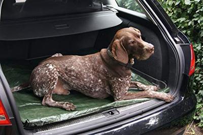 Connex Afdekzeil 4X5M Pp/Pe Profi 100G - FLOR80410 Connex Afdekzeil 4X5M Pp/Pe Profi 100G - FLOR80410