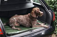 Connex Afdekzeil 2X3M Pp/Pe Profi 100G - FLOR80400 - thumbnail