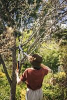 Powergear x takkenschaar bypass lx94 m 64 cm Fiskars - Fiskars - thumbnail