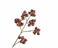 Silk-ka kunsttak braam 78cm mauve - thumbnail