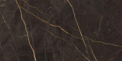 Saint Laurent polished 60x120 rett