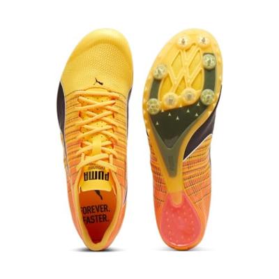 PUMA evoSPEED FUTURE 6