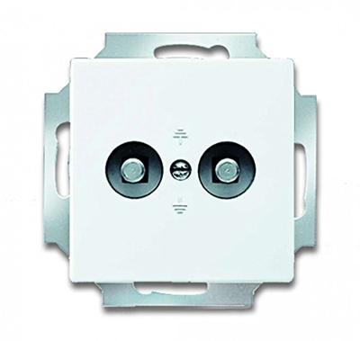 Busch-Jaeger 2CKA002495A0086 Afdekking 2-voudig Verkeerswit, Wit 1 stuk(s)