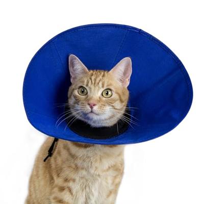 Lampenkap voor honden KVP EZ Soft Blauw (30-50 cm)