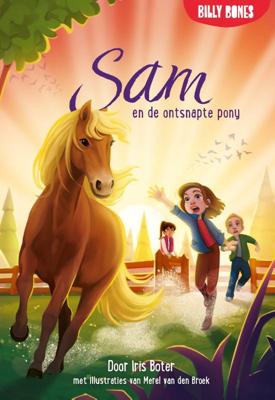 Sam en de ontsnapte pony (Hardback)