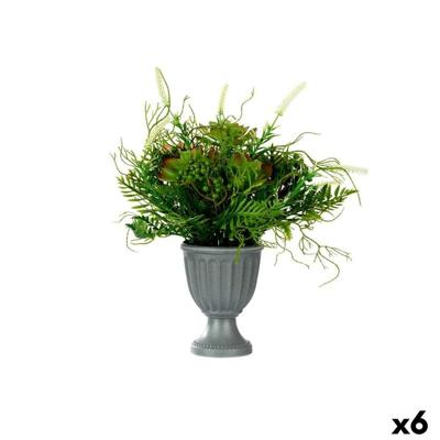 Decoratieve plant Ibergarden Plastic Fluitglas 21 x 30 x 21 cm 34 x 39,5 x 34 cm (6 Stuks)