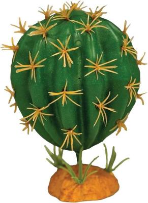 Plant cactus orb Repto - Repto Plant cactus orb Repto - Repto