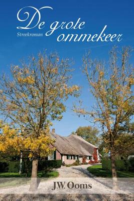 De grote ommekeer - Johannes Willem Ooms - eBook (9789401900706)