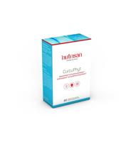 Nutrisan Curcuphyt 60 Vegetarische Capsules - thumbnail