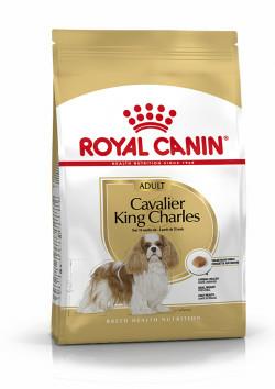 Royal Canin Adult Cavalier King Charles hondenvoer 3 kg
