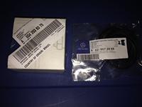 Thermostaat 407887D - thumbnail