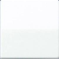 Jung schakelwip alpine wit glans AS591WW - thumbnail