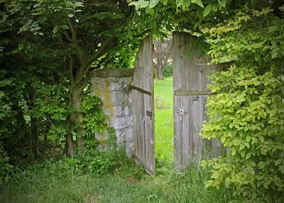 Alexsar Art Tuinschilderij houten deur 70x50cm