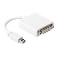 ACT Mini Displayport naar DVI M/F 15cm - thumbnail