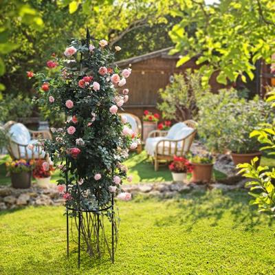 Hi Plantenrek voor klimplanten - ⌀40 x 200 cm