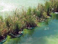 Drijvend planteneiland rond 81 cm plaats voor 20 jonge planten - thumbnail