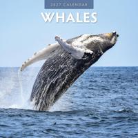 Walvissen Kalender 2027 - thumbnail