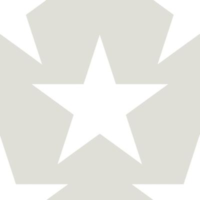 Dutch Wallcoverings Joy - Sterren - Grijs/Wit