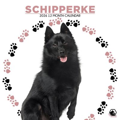 Schipperke Kalender 2026
