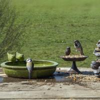 Esschert Design vogelbad keramiek groen - thumbnail