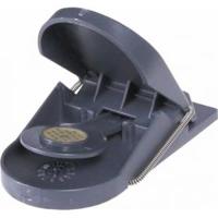 Muizenval SuperCat - thumbnail