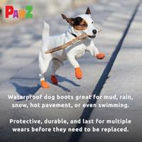 Pawz Hond - Hondenlaarzen Sinaasappels - thumbnail