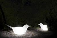 SerraLunga Paloma Wit Verlicht - thumbnail
