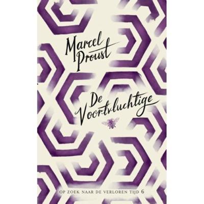 De voortvluchtige (Paperback)