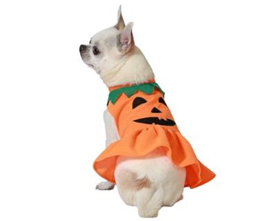 Kostuum voor honden Pompoen Maat M