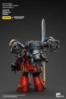 Warhammer The Horus Heresy Action Figure 1/18 Blood Angels Dawnbreaker Cohort Dawnbreaker 2 13 cm - thumbnail