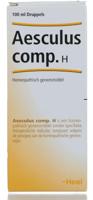 Heel Aesculus compositum H 100 Milliliter - thumbnail