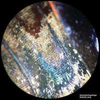 BRESSER Analyth STR 10x - 40x Stereo Microscoop met opvallend- en doorvallend Licht - thumbnail