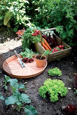 Elho Green Basics Plantenschotel Mild Terra Ø14cm