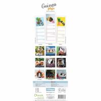 Cavia Kalender 2026 Slimline - thumbnail