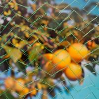 Tuinnet mono l8b8m groen - thumbnail