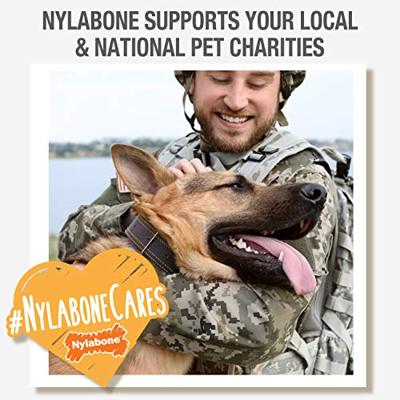 NYLABONE PUPPY CHEW BIJTSLEUTELS BACONSMAAK - thumbnail