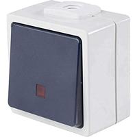 AS Schwabe 62453 Toets Met licht IP54 Grijs - thumbnail