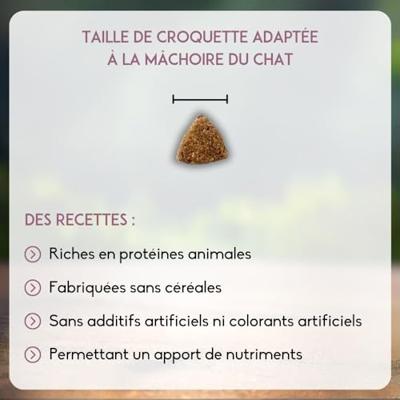 Nutrivet Inne Cat Kitten kattenvoer 6 kg - thumbnail