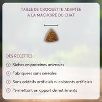 Nutrivet Inne Cat Kitten kattenvoer 6 kg - thumbnail