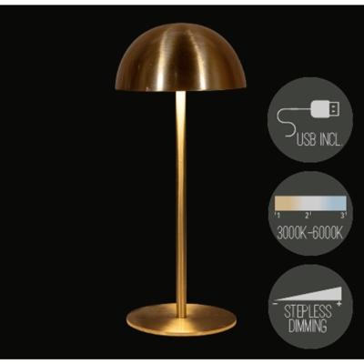 Oplaadbare tafellamp USB goud 9,5x22cm