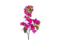 Decostar Bougianvillea Kreta 77 cm paars - thumbnail