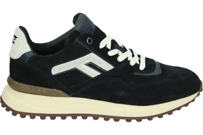 Floris van Bommel NOPPI 29.46 - alle