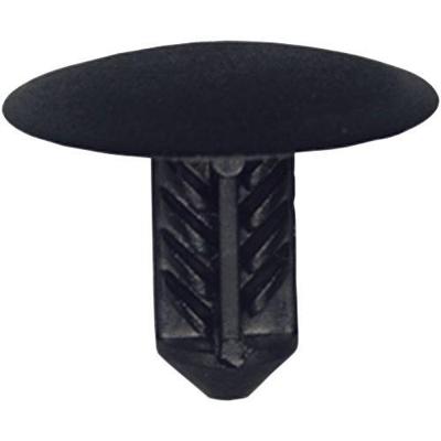 Afdekdop OEM:7703077117 - 20 stuks 65B125004 Afdekdop OEM:7703077117 - 20 stuks 65B125004