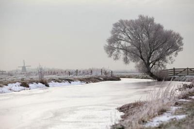 Tuinschilderij polder winter 70x50 Customize-it - Customize it