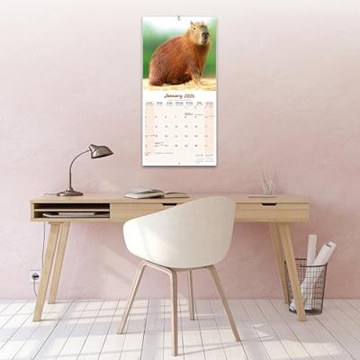 Capybara Kalender 2026