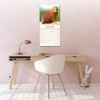 Capybara Kalender 2026 - thumbnail