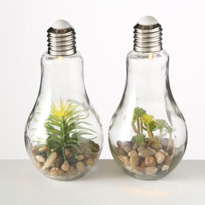 Led Gloeilamp met plant