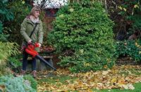 Einhell GE-CL 36/230 Li E -Solo Power X-Change Bladzuiger Accu Zonder accu, Zonder lader 36 V - thumbnail