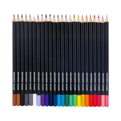 Bruynzeel rijksmuseum kleurpotloden, 24st.